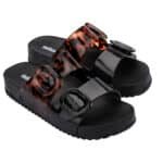 Preto/Vidrio/Tortuga